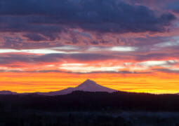 Mt. Hood Photo