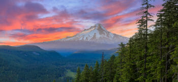 Clackamas Member News