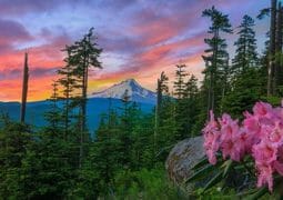 Mt. Hood Photo